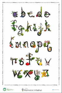 The Pollination Alphabet