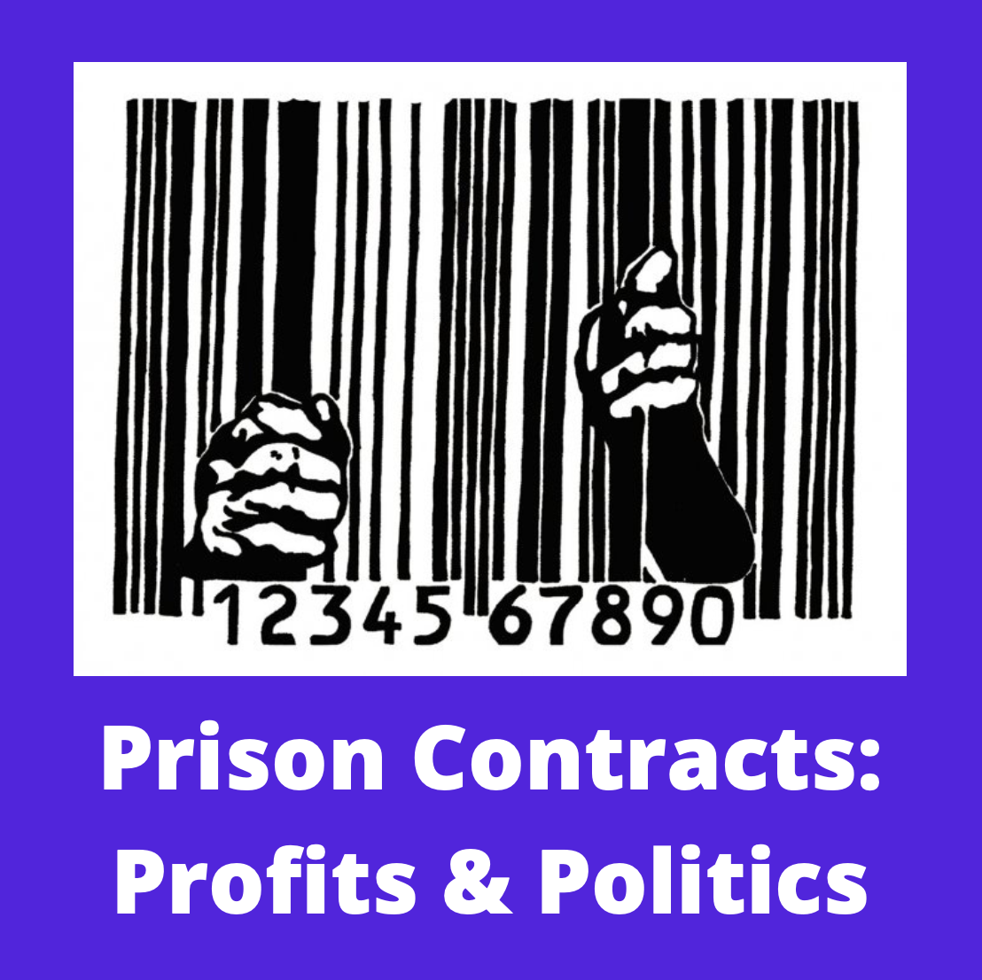 Understanding The Prison Industrial Complex Tufts University Prison   Screen Shot 2021 01 25 At 21.36.33 