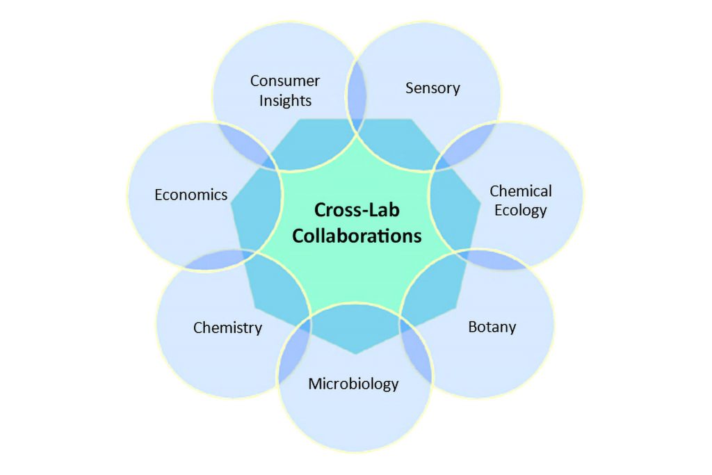 heptagon with the words consumer insights, sensory, chemical ecology, botany, microbiology, chemistry, and economics at each point with each word term surrounded by a circle