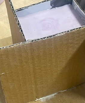 Picture including molding material (alginate) poured in the cardboard box.
