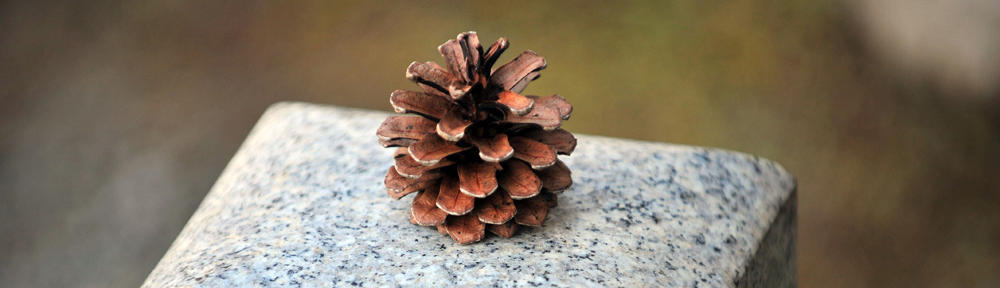 2024-2025 Fibers+Sculpture Annual