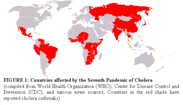 Countries Affected by the Seventh Pandemic of Cholera