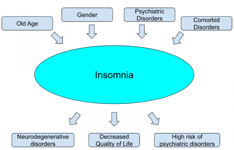 The Biochemistry of Sleep – By Colin, Kush, Eva, Michael and Gordon