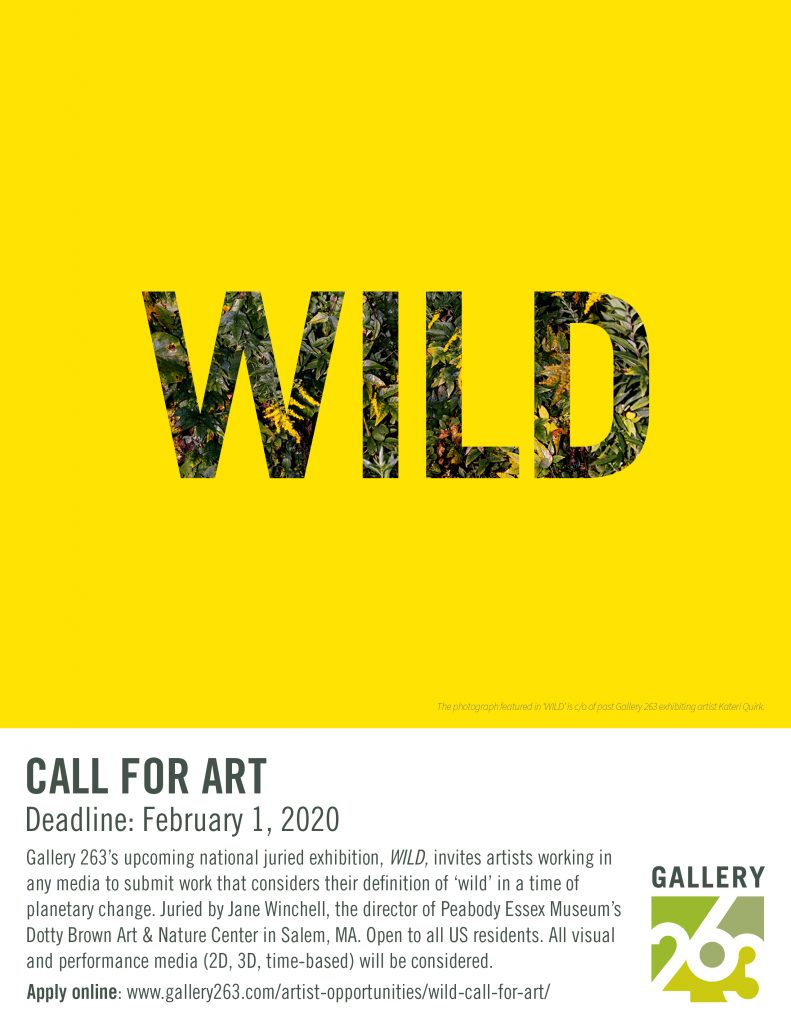 Opp: 263 Gallery Call for Art due Feb 1 | SMFA Graduate Program Blog