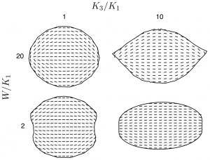 Examples of four achievable shapes for a droplet of nematic liquid crystal