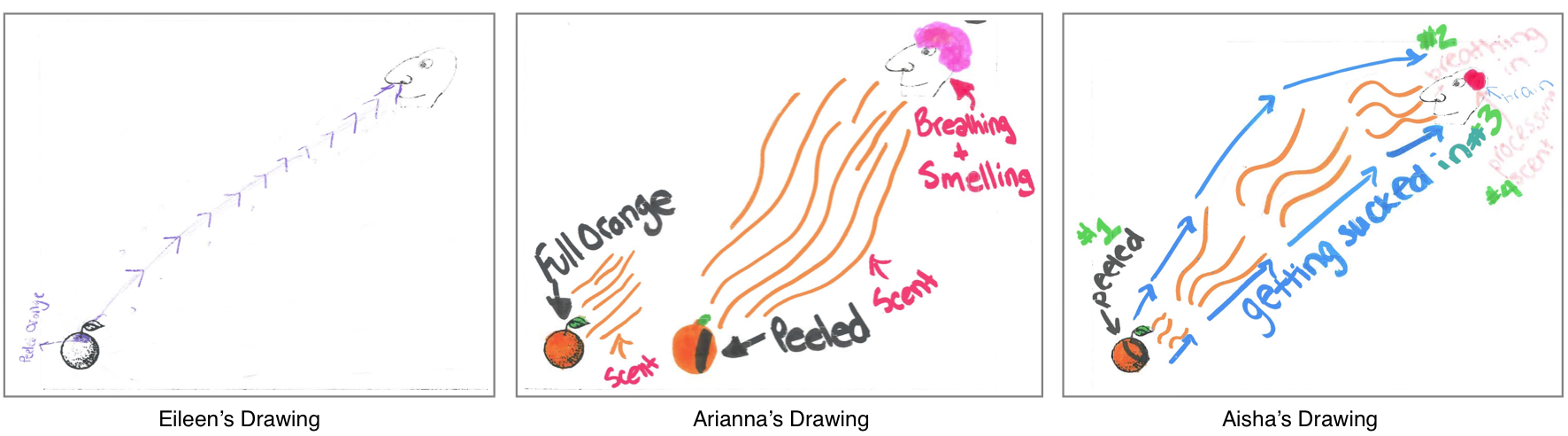 How Does Smell Travel Case Case Studies Of Students Doing Science