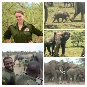 "The Challenges of Securing a Future for African Elephants" Speaker: Gini Colwell