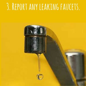 3. Report any leaking faucets.