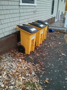 Compost Bins Picture