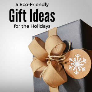 5 Eco-Friendly Gifts graphic