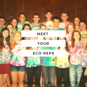 Eco Reps, Sustainability