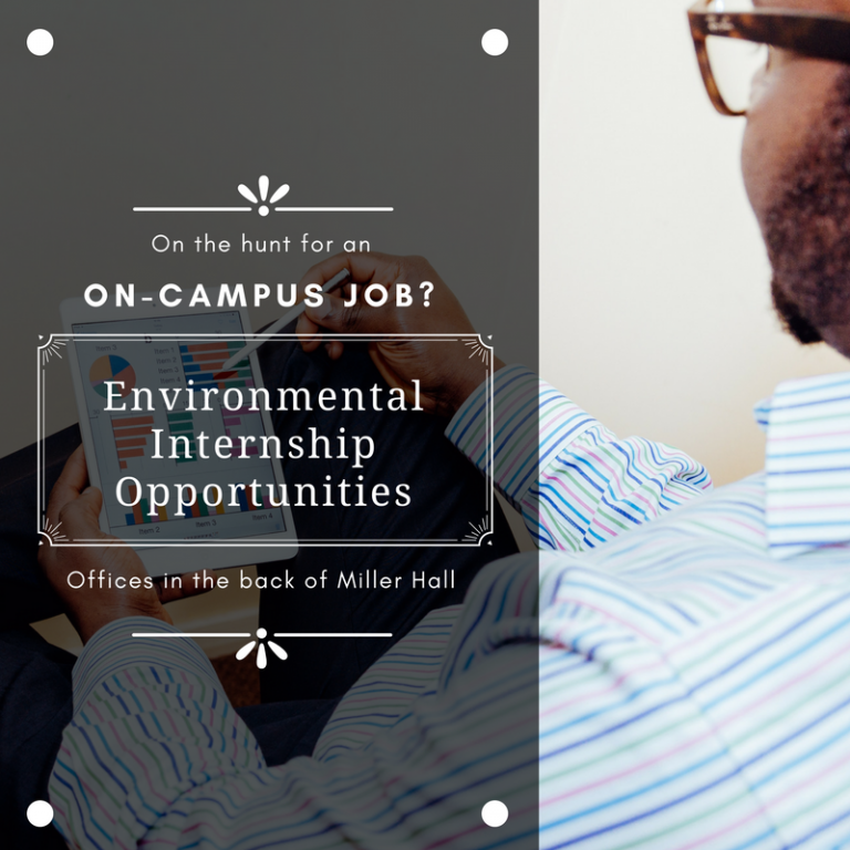 Fall Environmental Internship Opportunities On Campus Sustainability