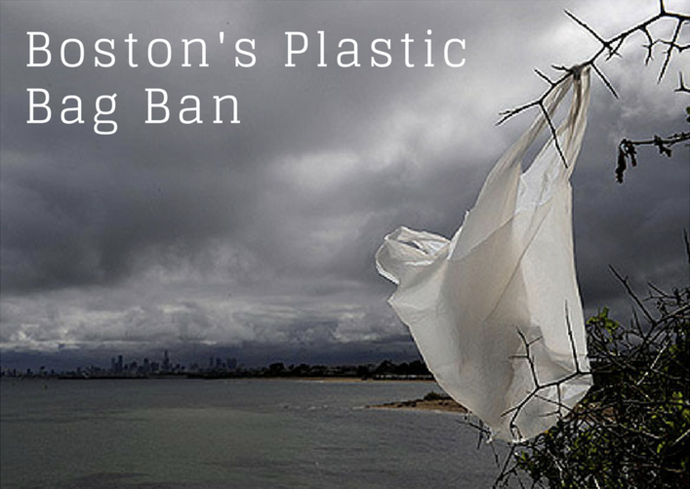 Plastic Bag Bans In Massachusetts IUCN Water