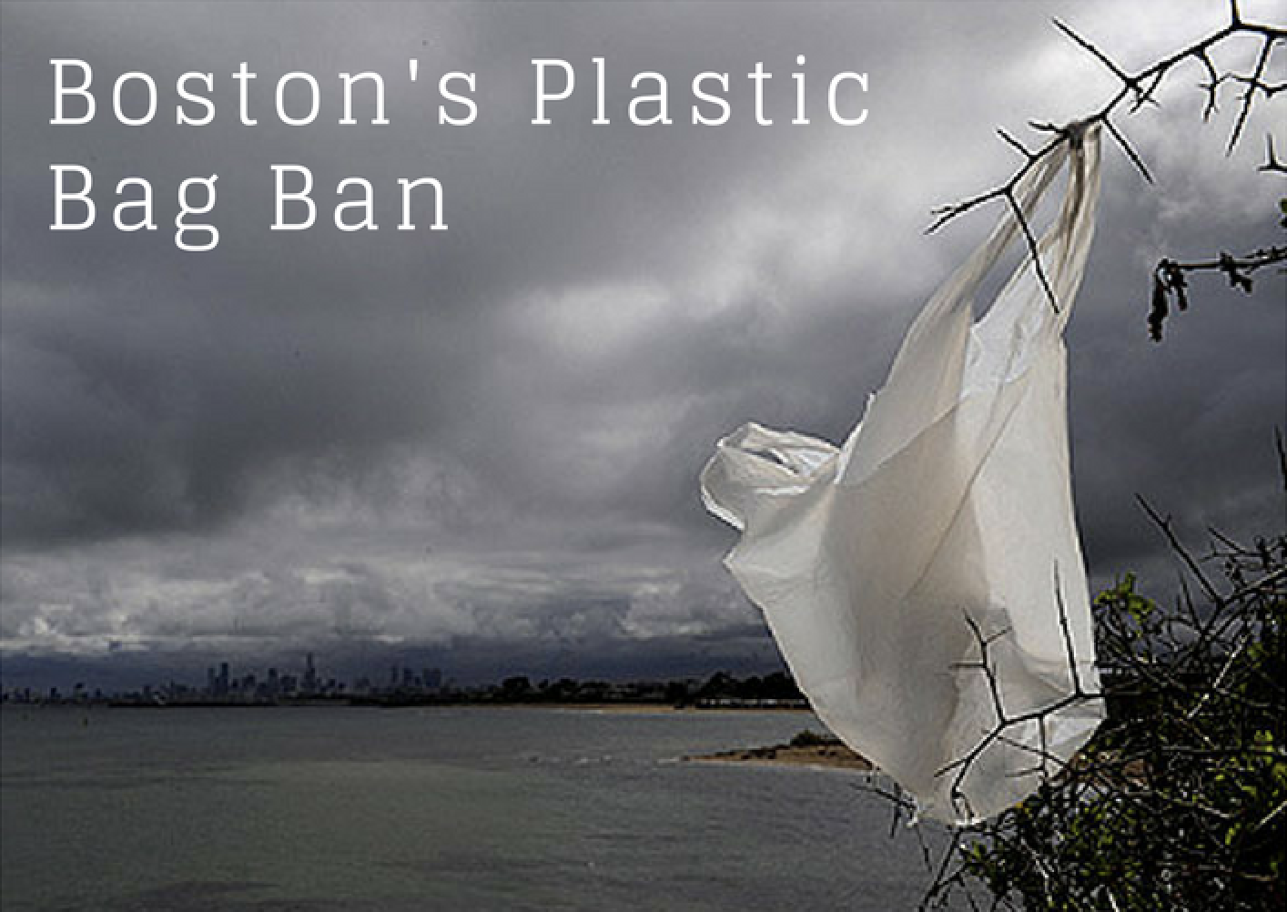 plastic-bag-bans-in-massachusetts-iucn-water