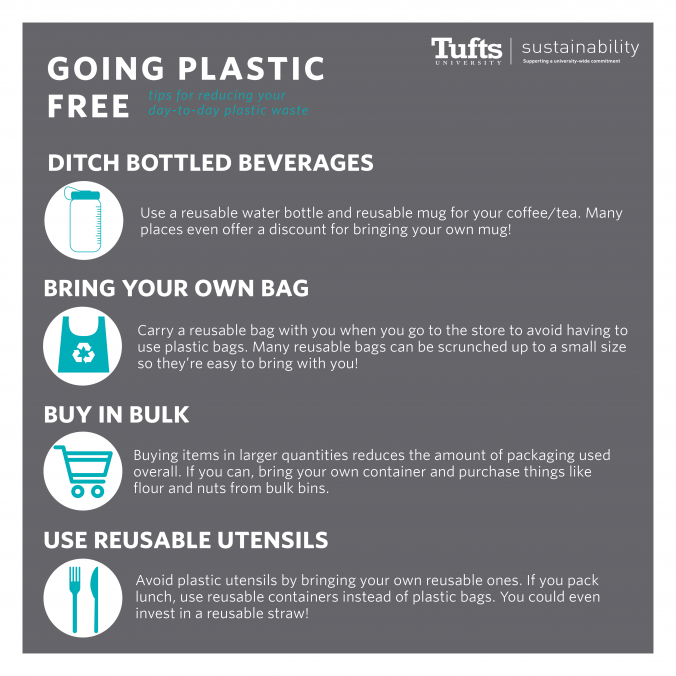 4 Ways To Eliminate Plastic From Your Life – Sustainability at Tufts