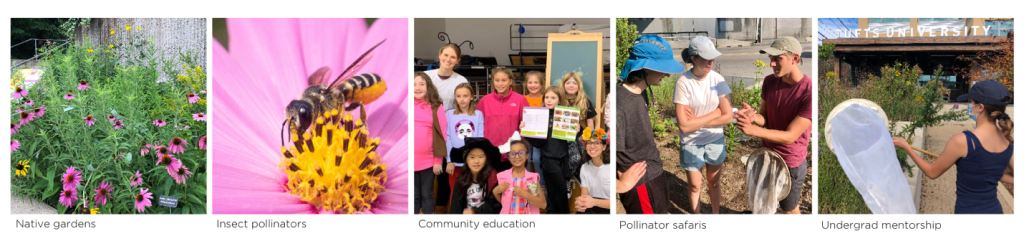 Five images of flowers, a bee on a flower, a group of students, students in a pollinator garden, and a student with a butterfly net.