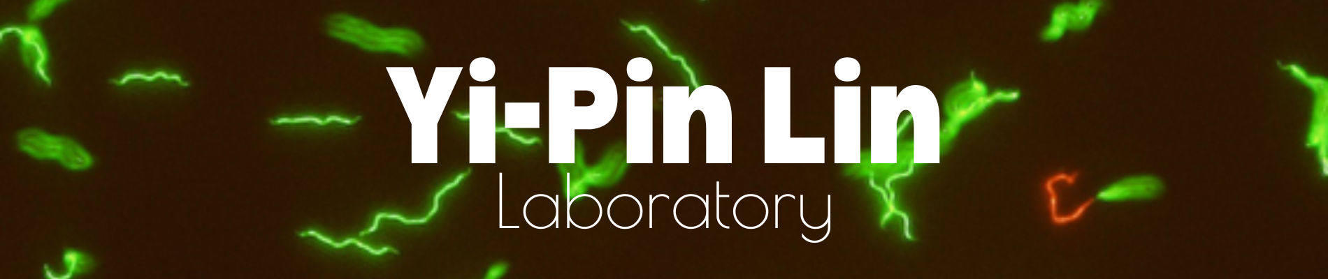 Yi-Pin Lin Lab at Tufts University